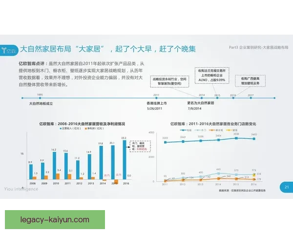 冰岛球员转会英冠动态分析与市场趋势解读